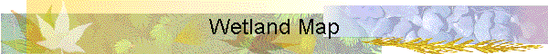 Wetland Map